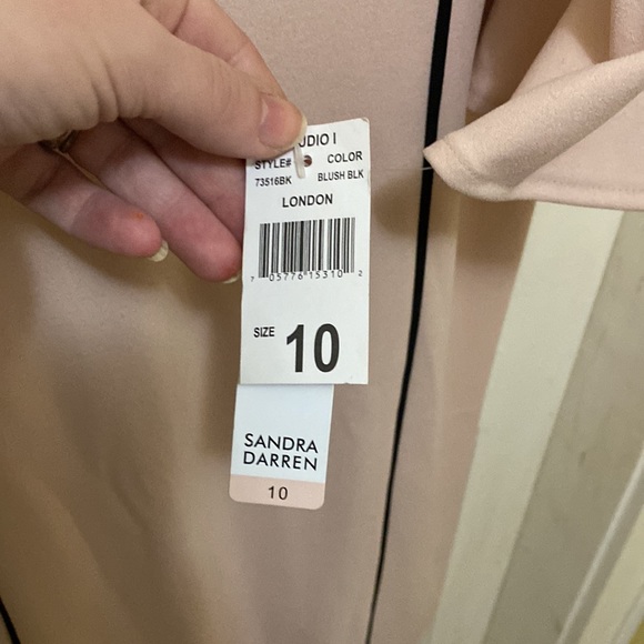 Sandra Darren NWT blush pink dress 10 - Picture 3 of 7